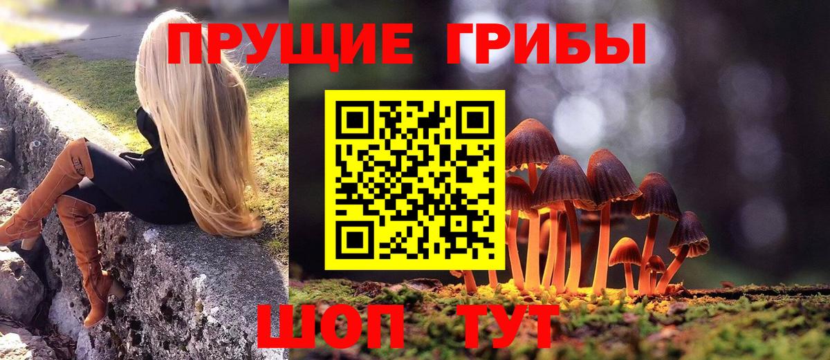 Электрогорск  Псилоцибиновые грибы Psilocybe  Вход с VPN  Псилоцибиновые грибы мицелий 